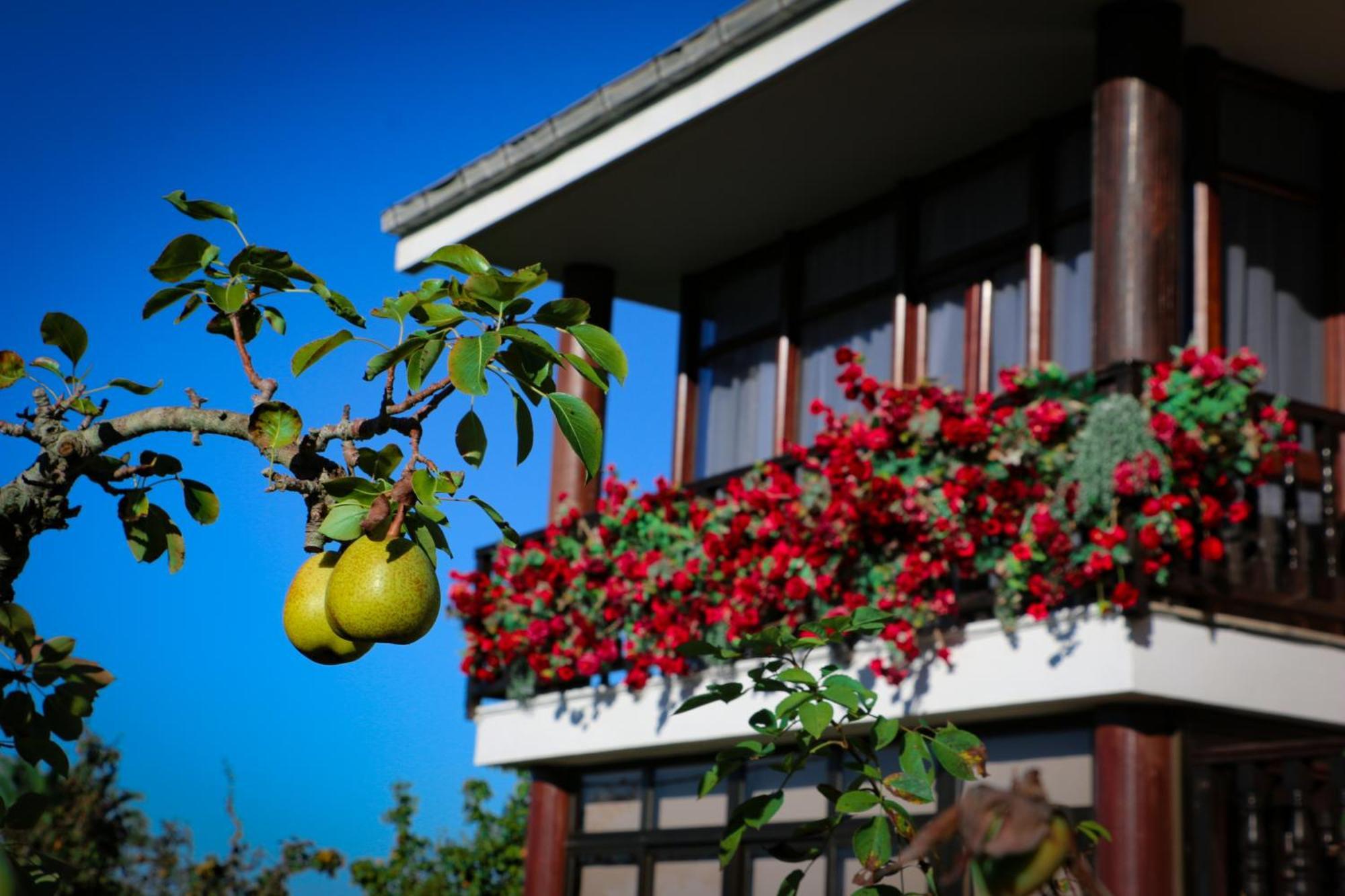 Cosma House Hotel Hinojedo Luaran gambar